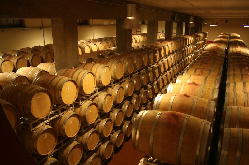 Dégustation de vins dans les vignobles